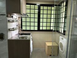Simei Green Condominium (D18), Condominium #602195151